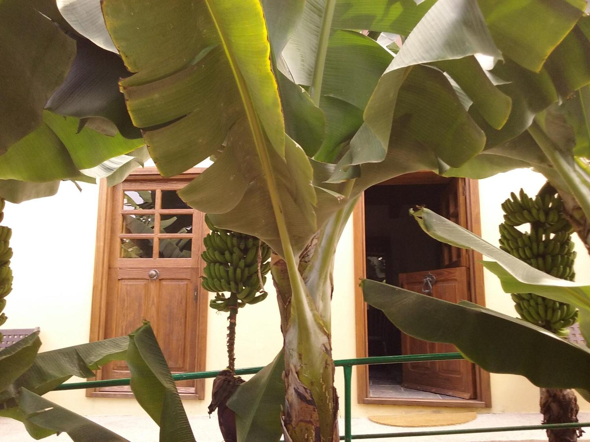Casa Rural Llano Campo Hermigua Kültér fotó