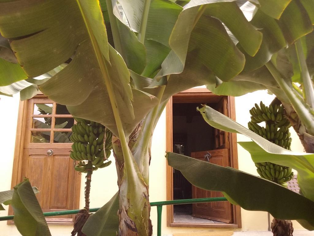 Casa Rural Llano Campo Hermigua Kültér fotó