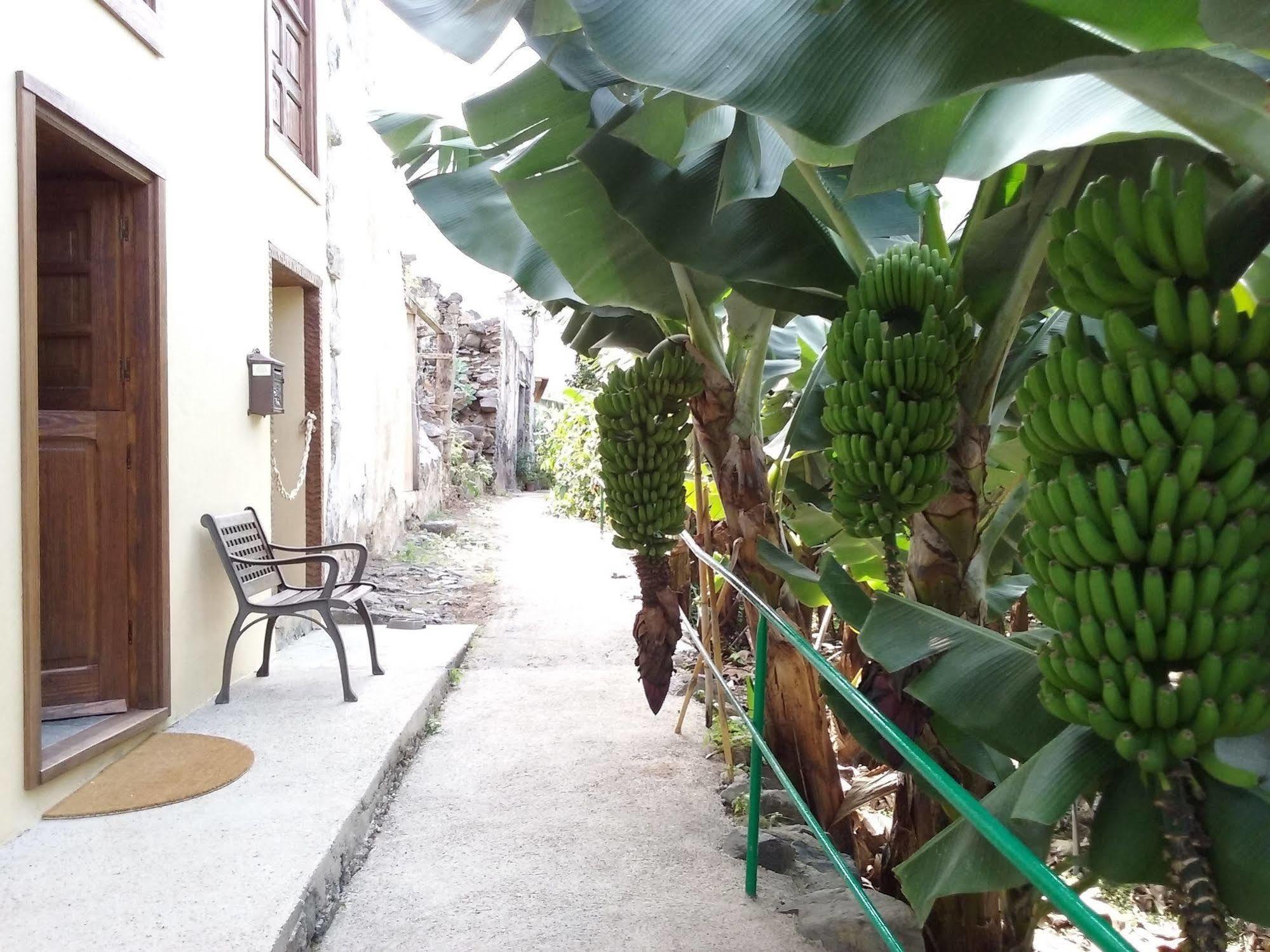 Casa Rural Llano Campo Hermigua Kültér fotó